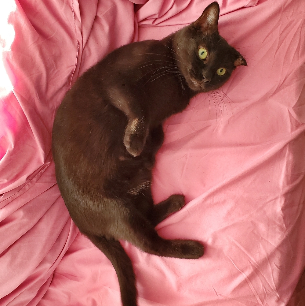 Jolene Has Wares